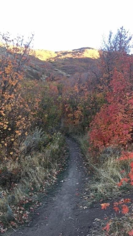 Stay & Play In The Little Switzerland Of Utah!!! Draper Eksteriør billede